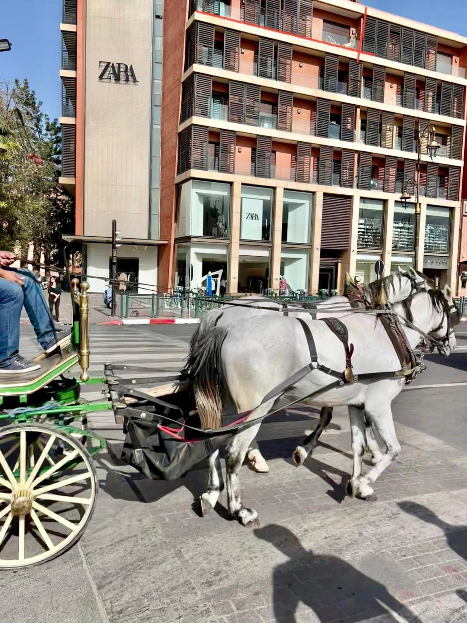 Zara Apartments Marrakech Marakeş Dış mekan fotoğraf